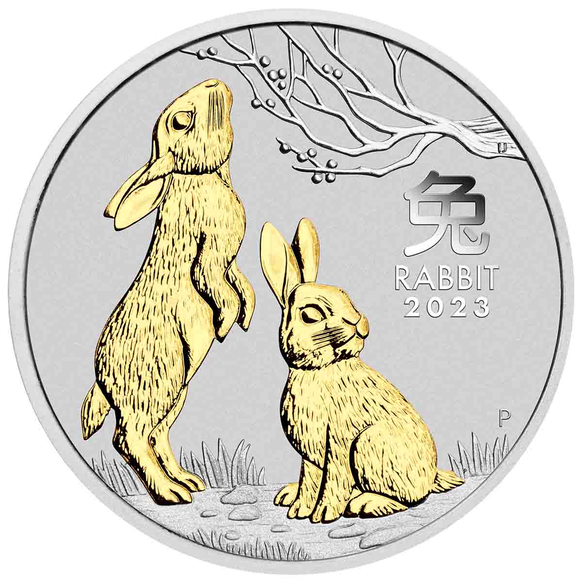 Australian Lunar Series III 2023 Year of the Rabbit 1oz Silver Gilded Coin - Image 3