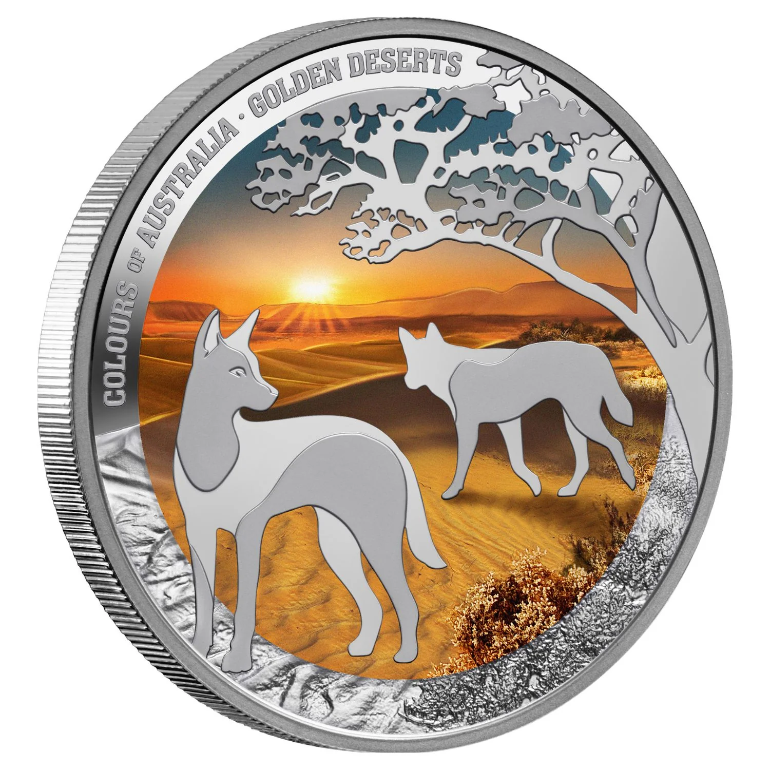 Downies New Releases