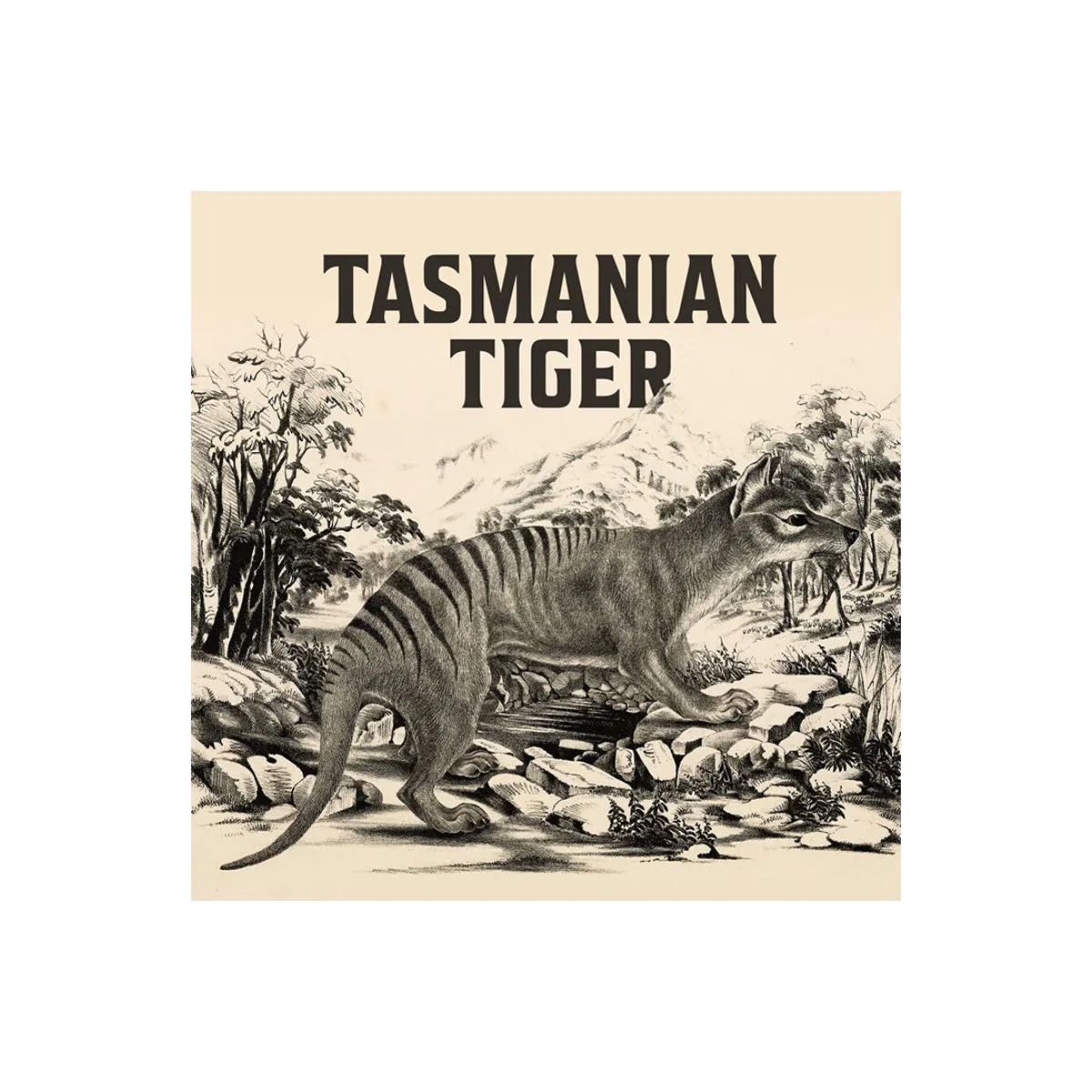 Tasmanian Tiger 2026 $100 1oz Gold Proof Coin - Image 4